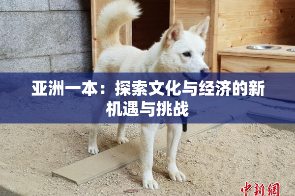 亚洲一本：探索文化与经济的新机遇与挑战