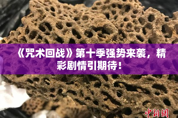 《咒术回战》第十季强势来袭，精彩剧情引期待！