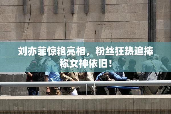 刘亦菲惊艳亮相，粉丝狂热追捧称女神依旧！