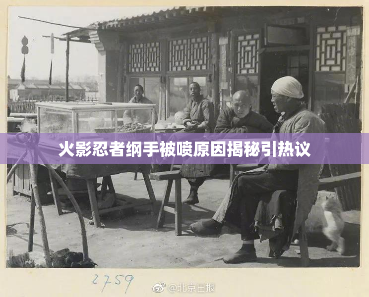 火影忍者纲手被喷原因揭秘引热议