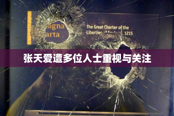 张天爱遭多位人士重视与关注