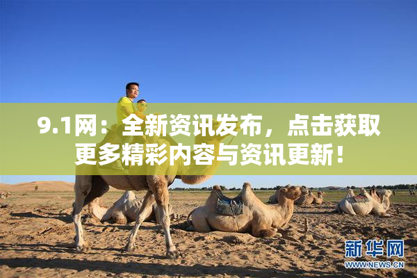 9.1网：全新资讯发布，点击获取更多精彩内容与资讯更新！