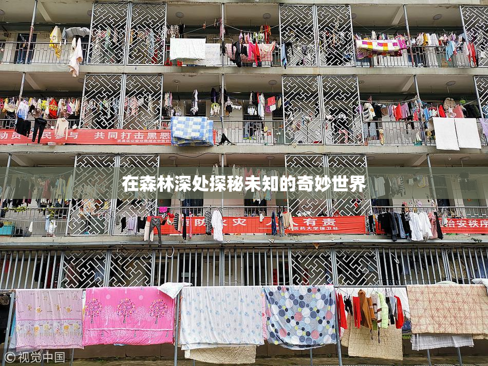 在森林深处探秘未知的奇妙世界