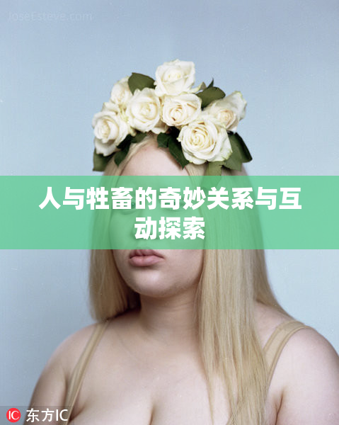 人与牲畜的奇妙关系与互动探索