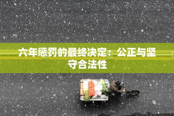 六年惩罚的最终决定：公正与坚守合法性