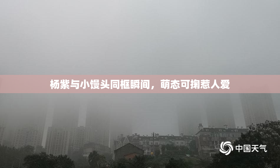 杨紫与小馒头同框瞬间，萌态可掬惹人爱