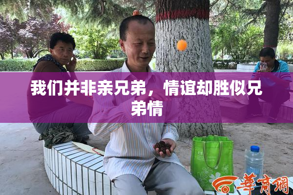 我们并非亲兄弟，情谊却胜似兄弟情