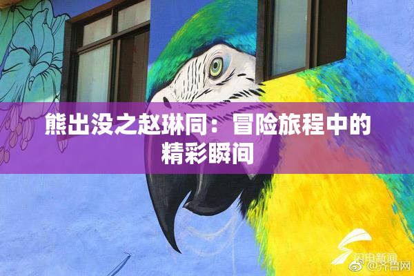 熊出没之赵琳同：冒险旅程中的精彩瞬间