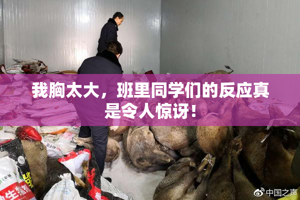 我胸太大，班里同学们的反应真是令人惊讶！