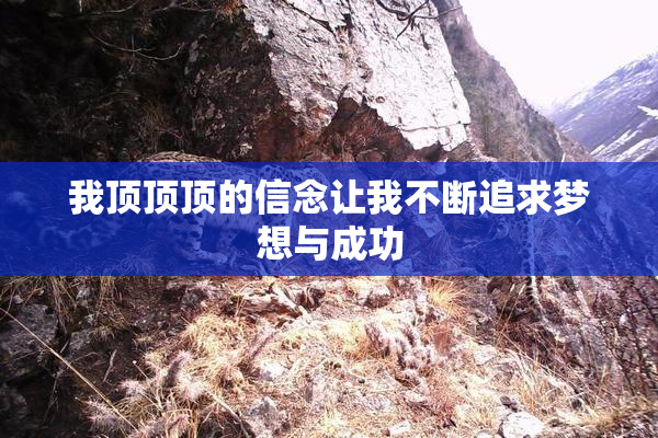 我顶顶顶的信念让我不断追求梦想与成功