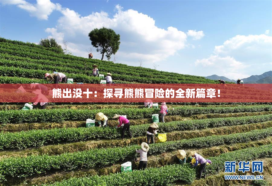 熊出没十：探寻熊熊冒险的全新篇章！