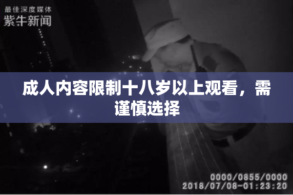 成人内容限制十八岁以上观看，需谨慎选择