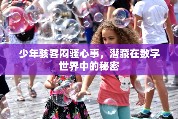 少年骇客闷骚心事，潜藏在数字世界中的秘密