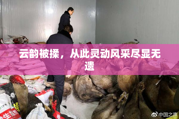 云韵被揉，从此灵动风采尽显无遗