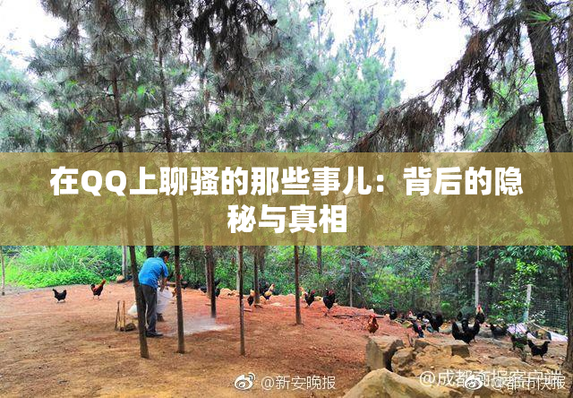 在QQ上聊骚的那些事儿：背后的隐秘与真相