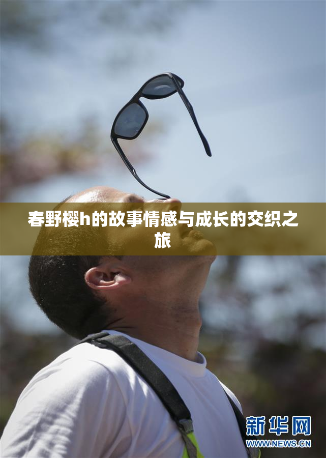 春野樱h的故事情感与成长的交织之旅