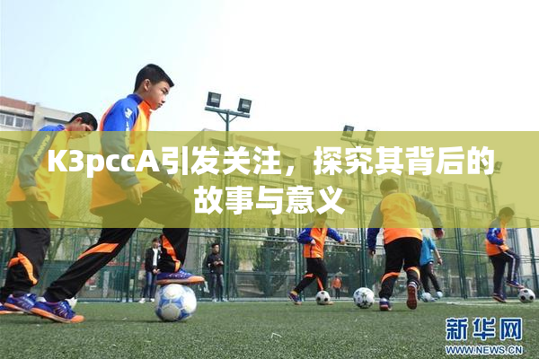 K3pccA引发关注，探究其背后的故事与意义