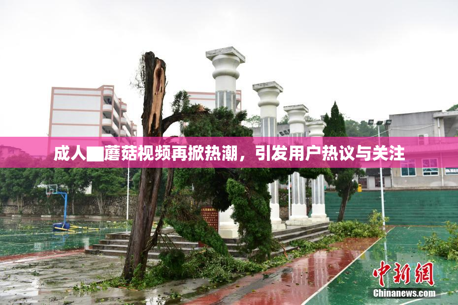 成人▇蘑菇视频再掀热潮，引发用户热议与关注