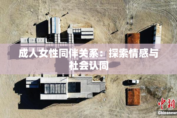 成人女性同伴关系：探索情感与社会认同