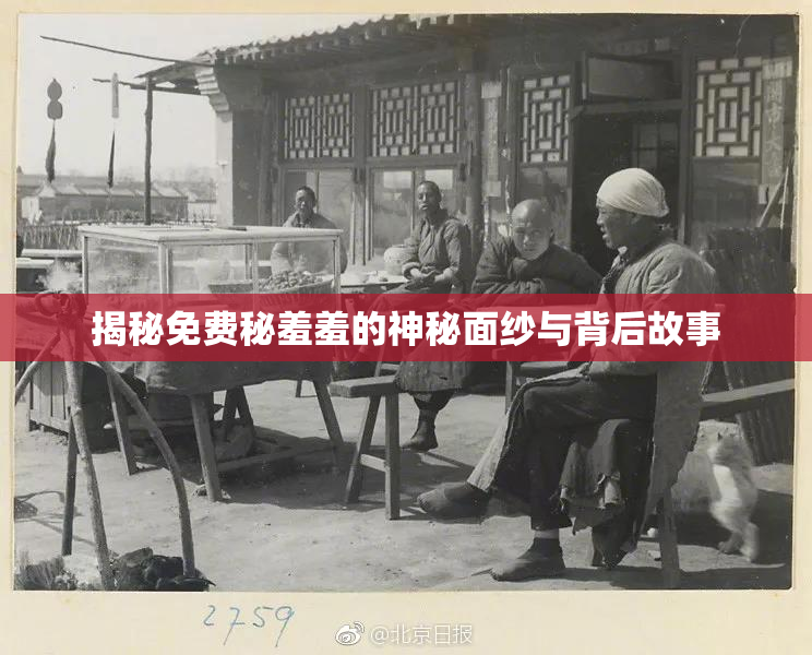 揭秘免费秘羞羞的神秘面纱与背后故事