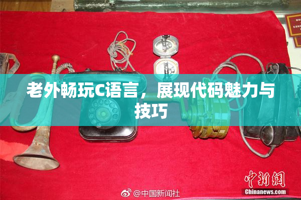 老外畅玩C语言，展现代码魅力与技巧