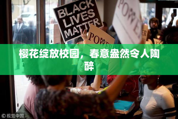 樱花绽放校园，春意盎然令人陶醉