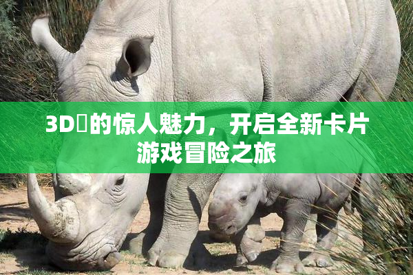 3D姉的惊人魅力，开启全新卡片游戏冒险之旅