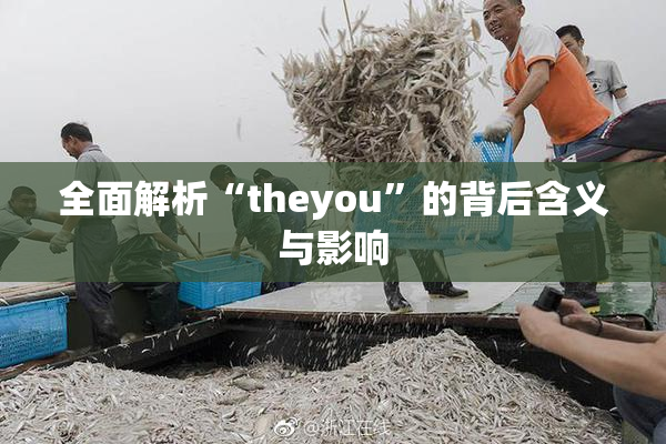 全面解析“theyou”的背后含义与影响