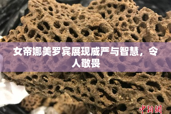 女帝娜美罗宾展现威严与智慧，令人敬畏
