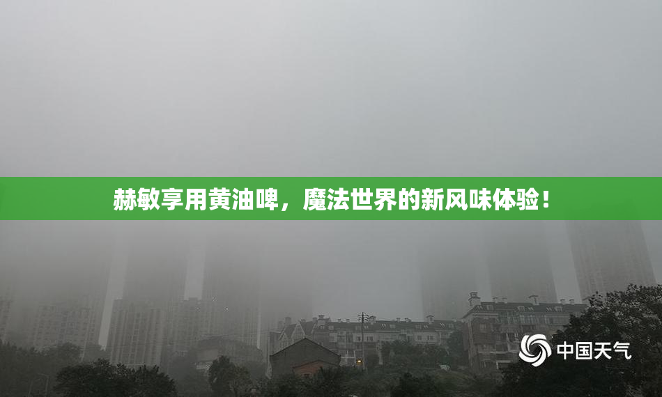 赫敏享用黄油啤，魔法世界的新风味体验！