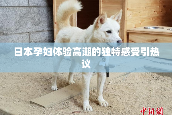 日本孕妇体验高潮的独特感受引热议