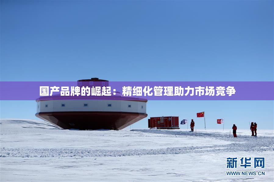 国产品牌的崛起：精细化管理助力市场竞争