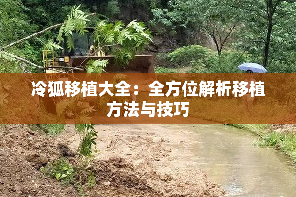 冷狐移植大全：全方位解析移植方法与技巧