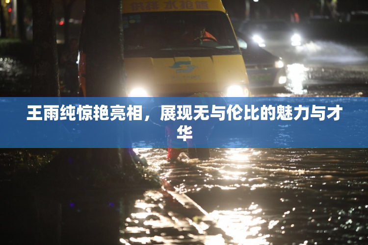 王雨纯惊艳亮相，展现无与伦比的魅力与才华