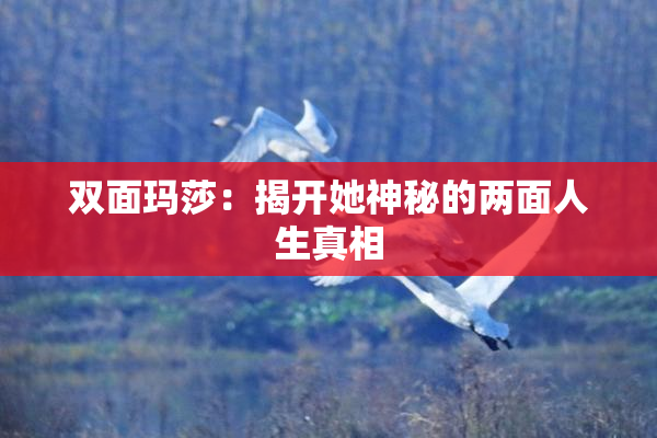 双面玛莎：揭开她神秘的两面人生真相