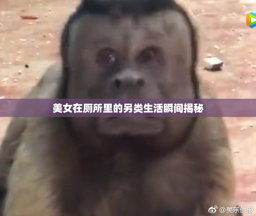 美女在厕所里的另类生活瞬间揭秘