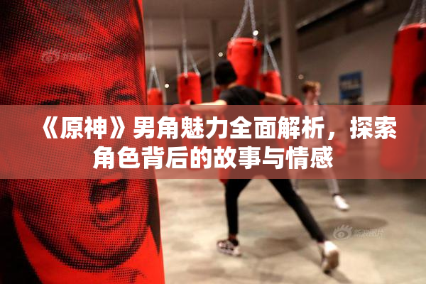 《原神》男角魅力全面解析，探索角色背后的故事与情感