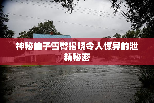 神秘仙子雪臀揭晓令人惊异的泄精秘密