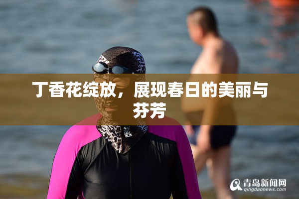 丁香花绽放，展现春日的美丽与芬芳