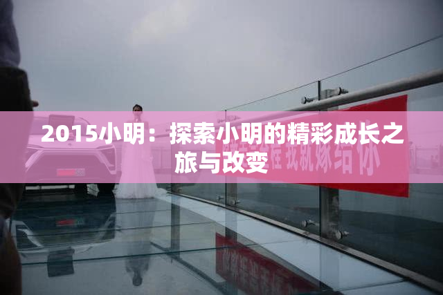 2015小明：探索小明的精彩成长之旅与改变