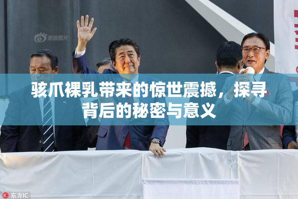 骇爪裸乳带来的惊世震撼，探寻背后的秘密与意义