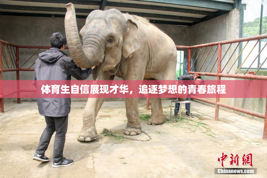 体育生自信展现才华，追逐梦想的青春旅程