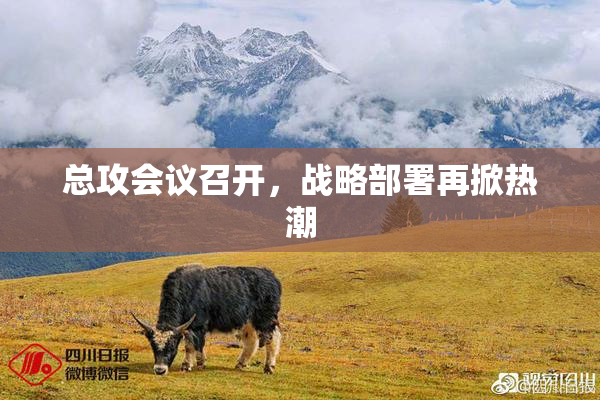 总攻会议召开，战略部署再掀热潮