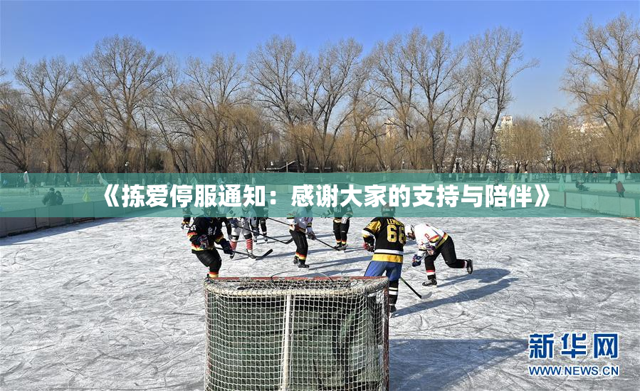 《拣爱停服通知：感谢大家的支持与陪伴》