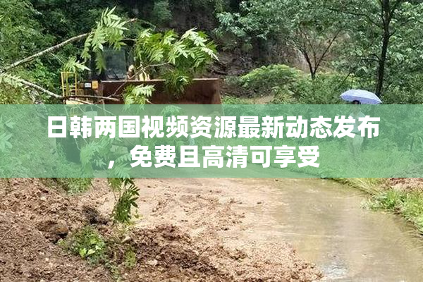 日韩两国视频资源最新动态发布，免费且高清可享受