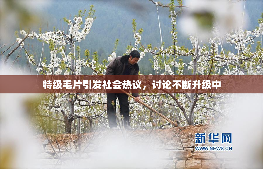 特级毛片引发社会热议，讨论不断升级中