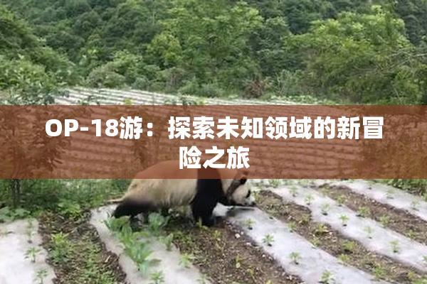 OP-18游：探索未知领域的新冒险之旅