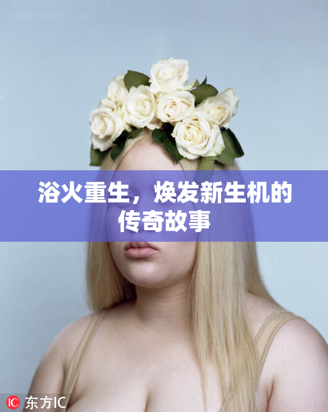 浴火重生，焕发新生机的传奇故事
