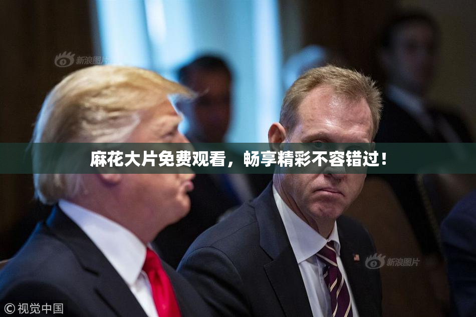 麻花大片免费观看，畅享精彩不容错过！
