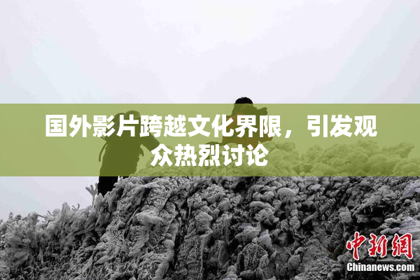 国外影片跨越文化界限，引发观众热烈讨论